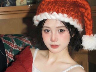 LucidaAurora shows