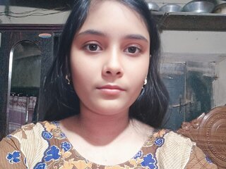 AniBd online